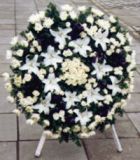̩ݻ